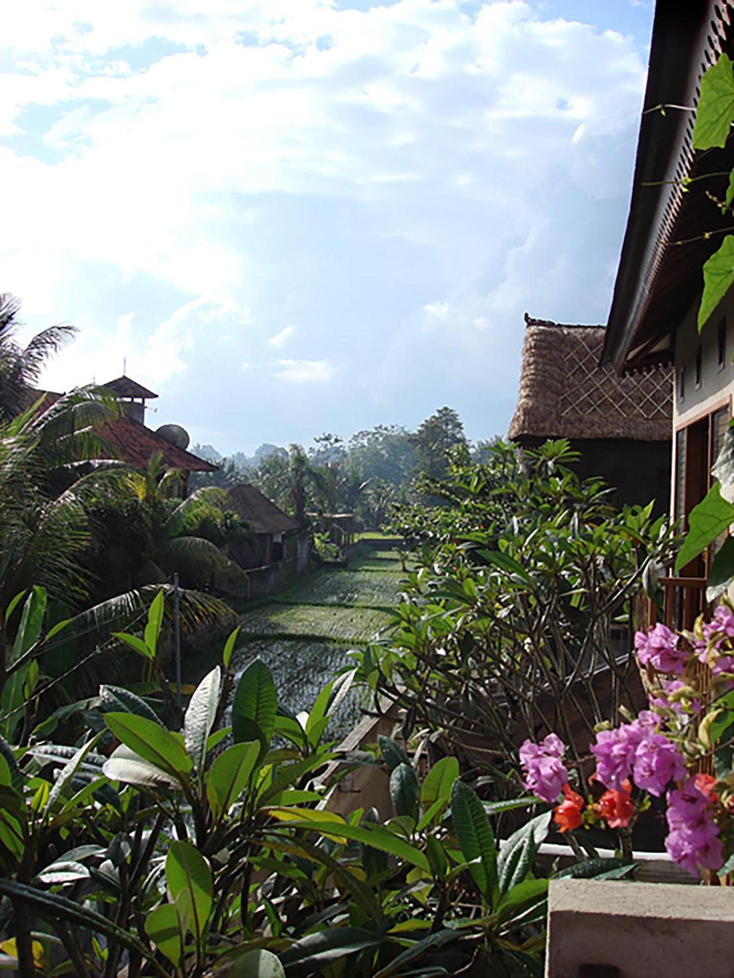 Villa Puriartha Ubud - Chse Certified Екстериор снимка